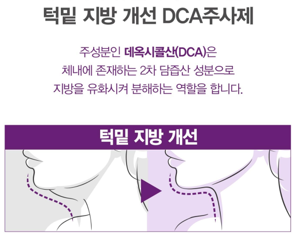 분당 지방분해주사 브이올렛