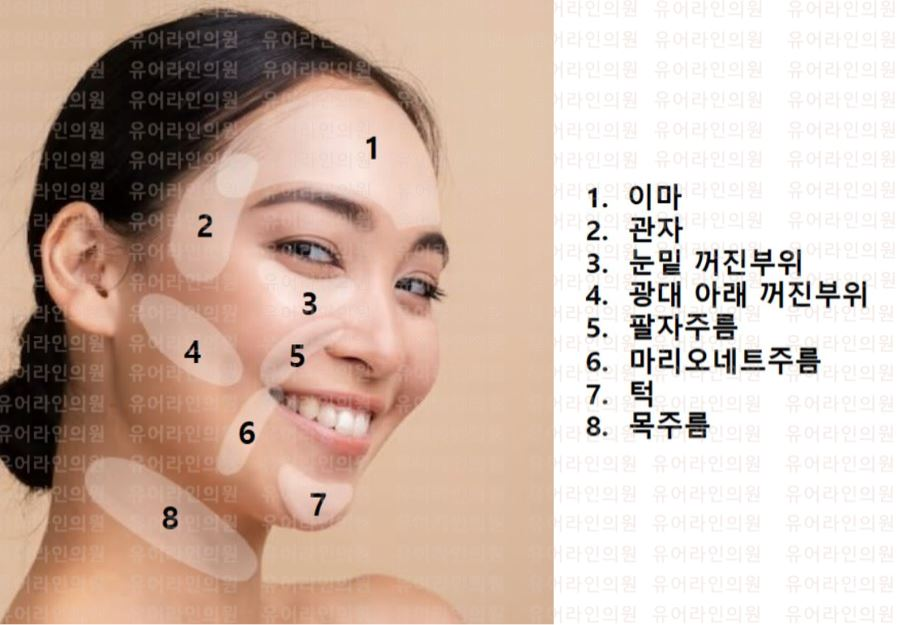 분당 얼굴 지방이식